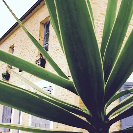 Guest house Junogite -