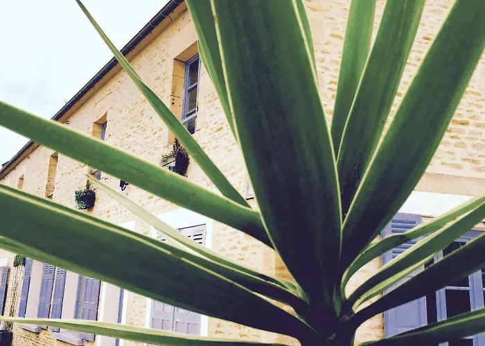 Pensión Junogîte - Résidence