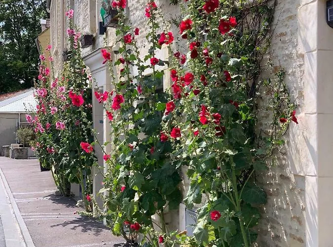 Junogîte - Résidence Pensión